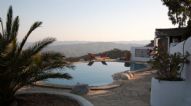 The Olive Grove