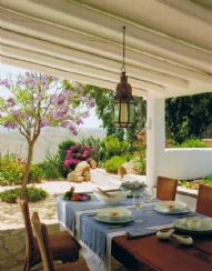 The Olive Grove
