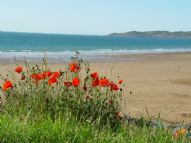 Unique Places to Stay in Devon