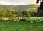 Walking Breaks at Sleepy Meadow Cottage