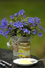 Kingfisher Folly, luxury cottage for two
