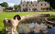 Saddlewood Manor