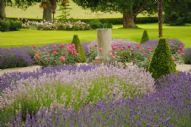 Prince Park Stately Home Gardens in Devon