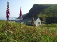 The Beach Hut, unique place to stay in north Cornwall