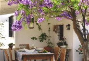 Rustic farmhouse in Andalucia