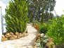 The Olive Grove Farmhouse nr Malaga