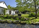 kingfisherfolly