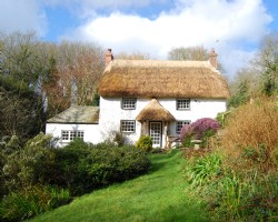 The Honey Pot